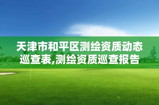 天津市和平區測繪資質動態巡查表,測繪資質巡查報告