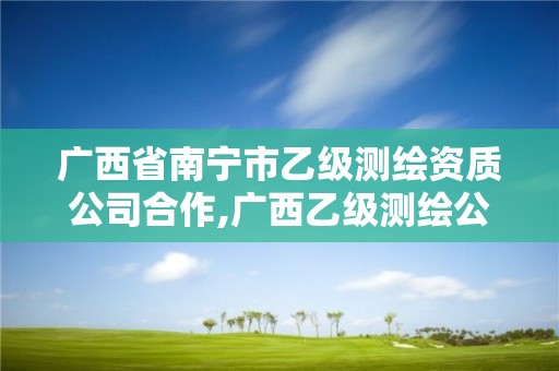 廣西省南寧市乙級測繪資質(zhì)公司合作,廣西乙級測繪公司名單