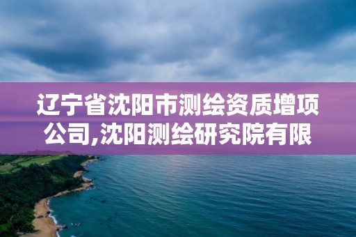 遼寧省沈陽市測繪資質增項公司,沈陽測繪研究院有限公司官網