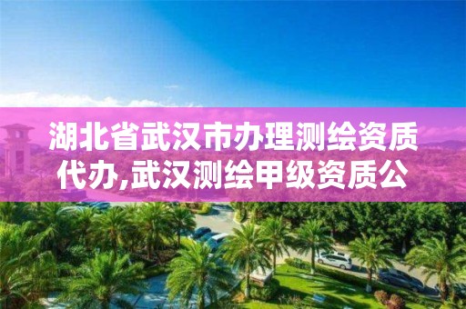 湖北省武漢市辦理測繪資質代辦,武漢測繪甲級資質公司