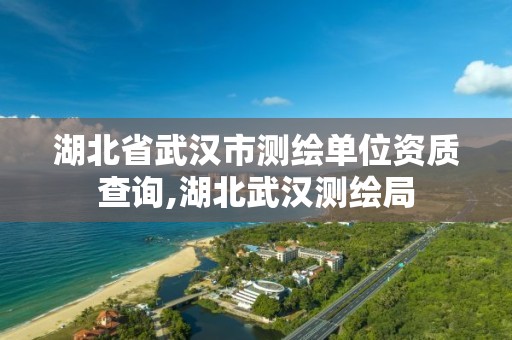 湖北省武漢市測繪單位資質查詢,湖北武漢測繪局