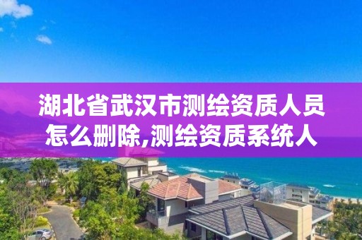 湖北省武漢市測繪資質人員怎么刪除,測繪資質系統人員刪除