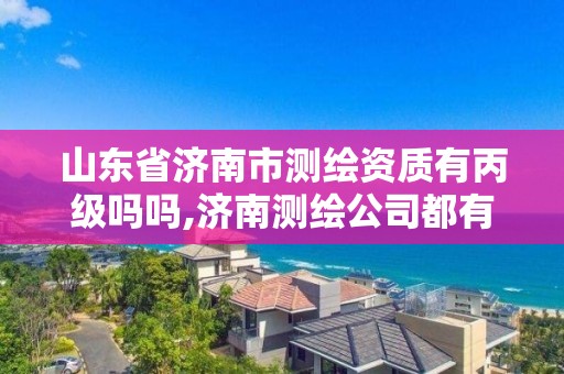 山東省濟南市測繪資質有丙級嗎嗎,濟南測繪公司都有哪些