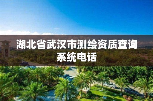 湖北省武漢市測繪資質查詢系統電話