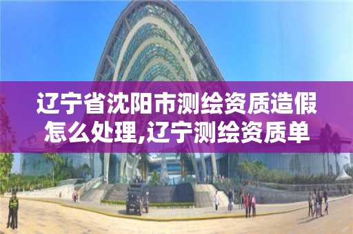 遼寧省沈陽市測繪資質造假怎么處理,遼寧測繪資質單位