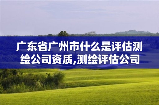 廣東省廣州市什么是評估測繪公司資質,測繪評估公司是做什么的