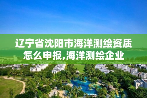 遼寧省沈陽市海洋測繪資質(zhì)怎么申報,海洋測繪企業(yè)