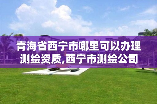 青海省西寧市哪里可以辦理測繪資質(zhì),西寧市測繪公司