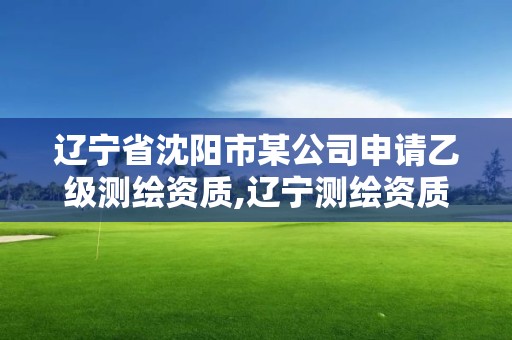 遼寧省沈陽市某公司申請乙級測繪資質,遼寧測繪資質查詢。