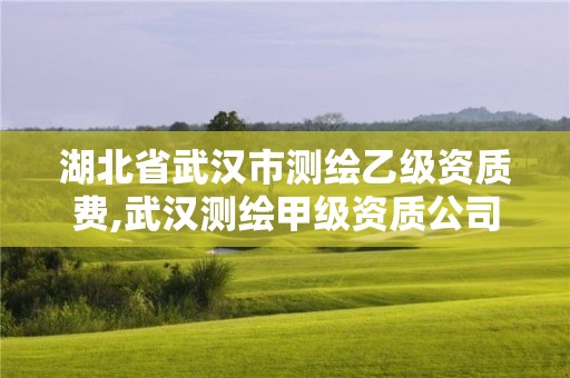 湖北省武漢市測繪乙級資質(zhì)費,武漢測繪甲級資質(zhì)公司