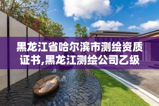 黑龍江省哈爾濱市測繪資質證書,黑龍江測繪公司乙級資質