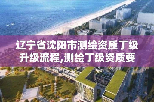 遼寧省沈陽市測繪資質丁級升級流程,測繪丁級資質要求