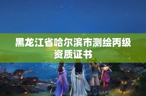 黑龍江省哈爾濱市測繪丙級資質證書