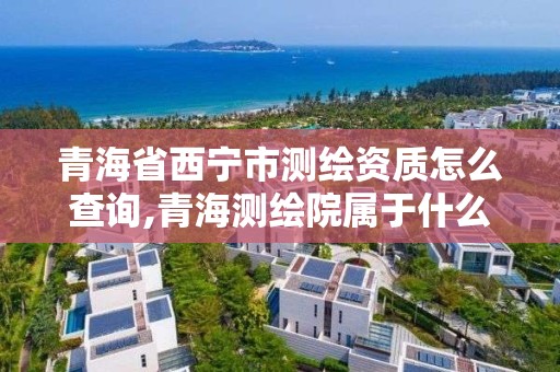 青海省西寧市測繪資質怎么查詢,青海測繪院屬于什么單位