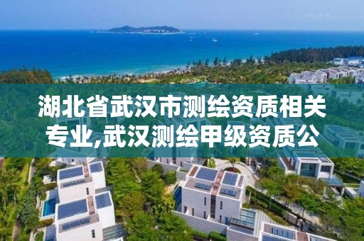 湖北省武漢市測繪資質相關專業,武漢測繪甲級資質公司