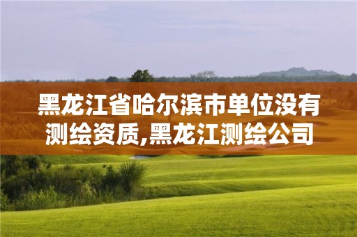 黑龍江省哈爾濱市單位沒有測繪資質,黑龍江測繪公司乙級資質