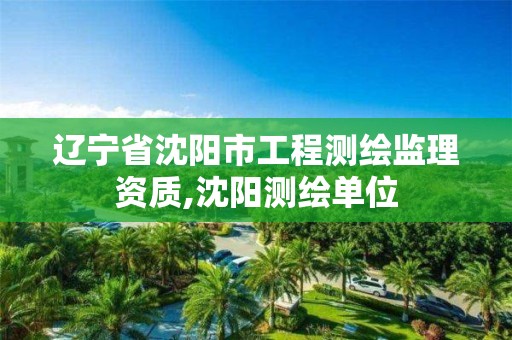 遼寧省沈陽市工程測繪監理資質,沈陽測繪單位