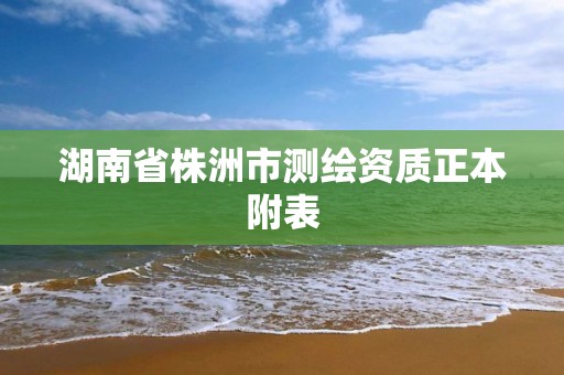 湖南省株洲市測繪資質正本附表