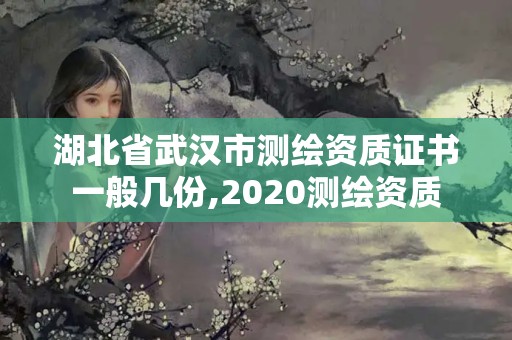 湖北省武漢市測繪資質證書一般幾份,2020測繪資質