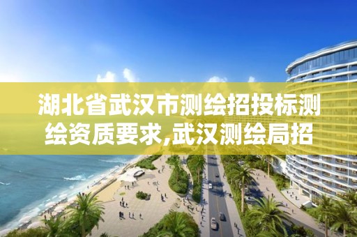 湖北省武漢市測繪招投標(biāo)測繪資質(zhì)要求,武漢測繪局招聘