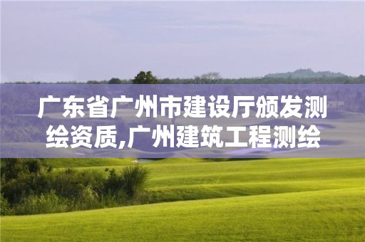 廣東省廣州市建設廳頒發測繪資質,廣州建筑工程測繪。