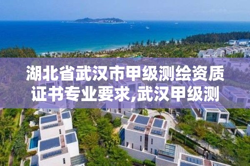 湖北省武漢市甲級測繪資質證書專業要求,武漢甲級測繪資質名錄