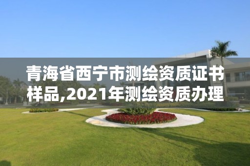 青海省西寧市測繪資質證書樣品,2021年測繪資質辦理。