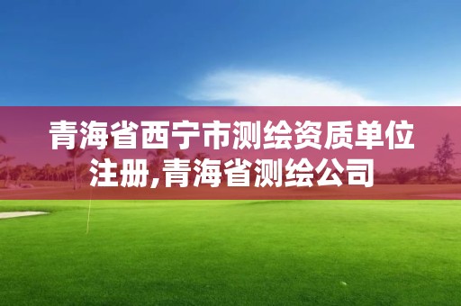 青海省西寧市測(cè)繪資質(zhì)單位注冊(cè),青海省測(cè)繪公司