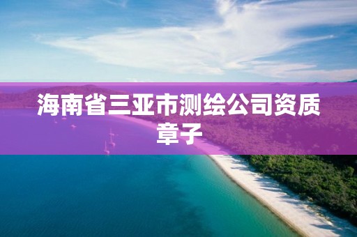 海南省三亞市測繪公司資質章子