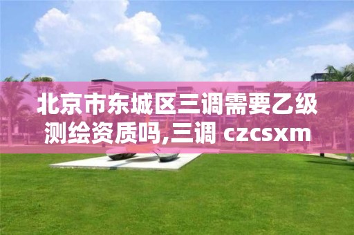 北京市東城區(qū)三調(diào)需要乙級測繪資質(zhì)嗎,三調(diào) czcsxm。