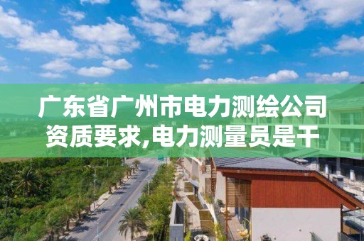 廣東省廣州市電力測繪公司資質(zhì)要求,電力測量員是干什么的