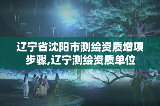 遼寧省沈陽市測繪資質(zhì)增項步驟,遼寧測繪資質(zhì)單位