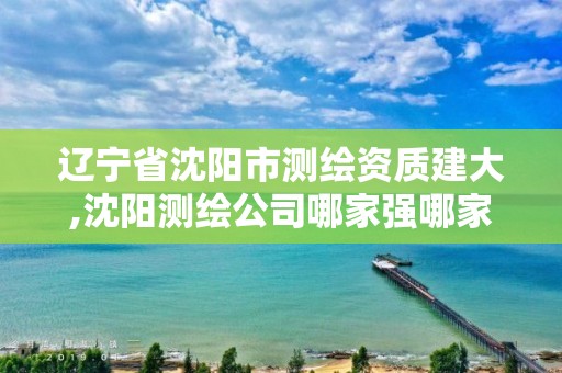 遼寧省沈陽市測繪資質建大,沈陽測繪公司哪家強哪家好