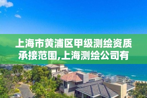 上海市黃浦區甲級測繪資質承接范圍,上海測繪公司有哪幾家