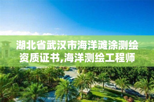 湖北省武漢市海洋灘涂測繪資質證書,海洋測繪工程師。