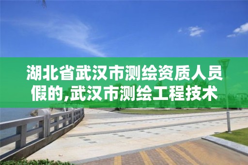 湖北省武漢市測繪資質人員假的,武漢市測繪工程技術規定