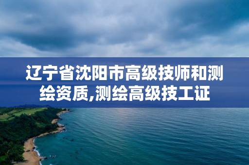 遼寧省沈陽市高級技師和測繪資質(zhì),測繪高級技工證