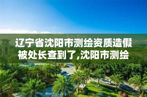 遼寧省沈陽市測繪資質造假被處長查到了,沈陽市測繪院電話。