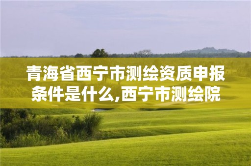 青海省西寧市測繪資質申報條件是什么,西寧市測繪院招聘公示。