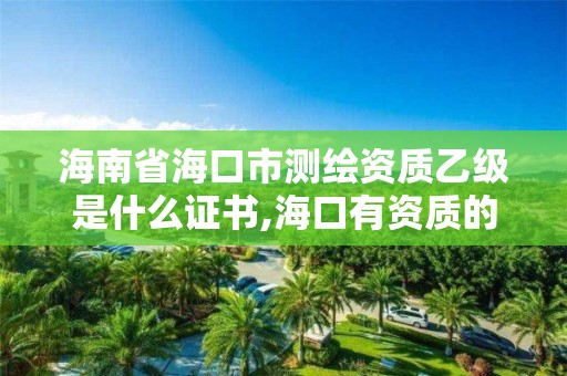 海南省海口市測繪資質乙級是什么證書,海口有資質的測繪公司