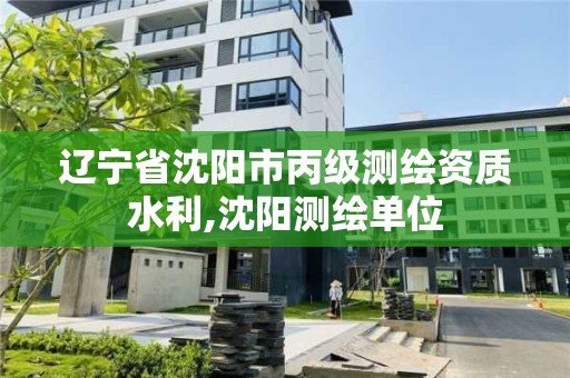 遼寧省沈陽市丙級測繪資質水利,沈陽測繪單位