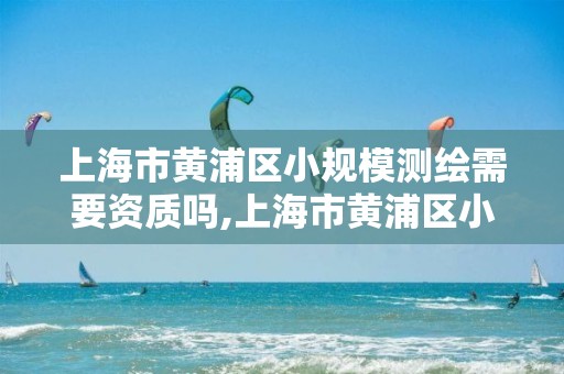 上海市黃浦區小規模測繪需要資質嗎,上海市黃浦區小規模測繪需要資質嗎現在