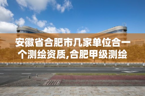 安徽省合肥市幾家單位合一個測繪資質(zhì),合肥甲級測繪公司排行。