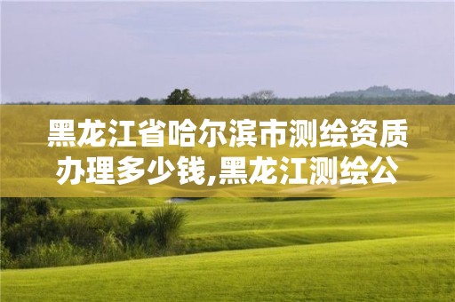 黑龍江省哈爾濱市測繪資質辦理多少錢,黑龍江測繪公司乙級資質