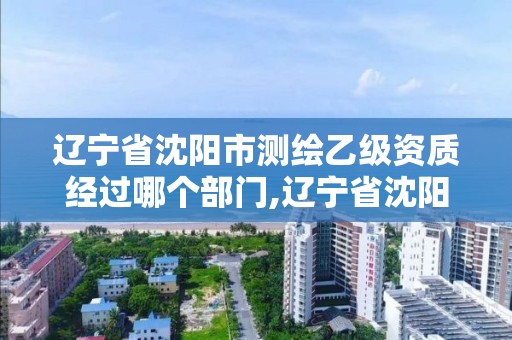 遼寧省沈陽市測繪乙級資質經過哪個部門,遼寧省沈陽市測繪乙級資質經過哪個部門審核