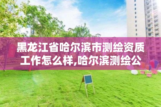 黑龍江省哈爾濱市測繪資質工作怎么樣,哈爾濱測繪公司有哪些