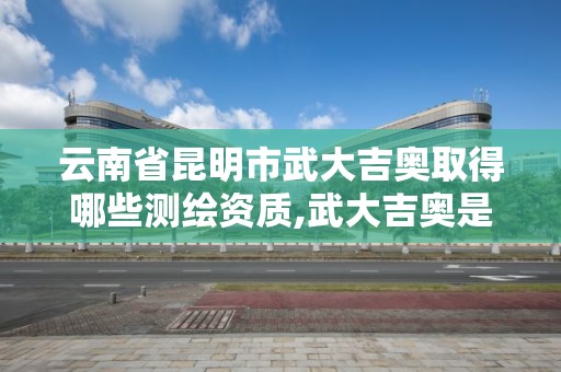 云南省昆明市武大吉奧取得哪些測繪資質,武大吉奧是什么公司。