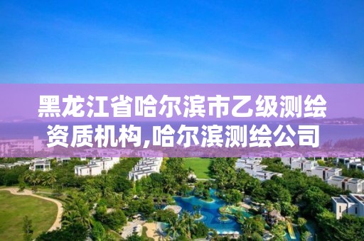 黑龍江省哈爾濱市乙級(jí)測繪資質(zhì)機(jī)構(gòu),哈爾濱測繪公司哪家好