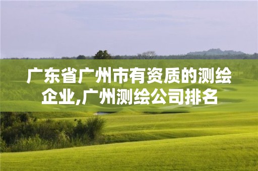 廣東省廣州市有資質(zhì)的測繪企業(yè),廣州測繪公司排名