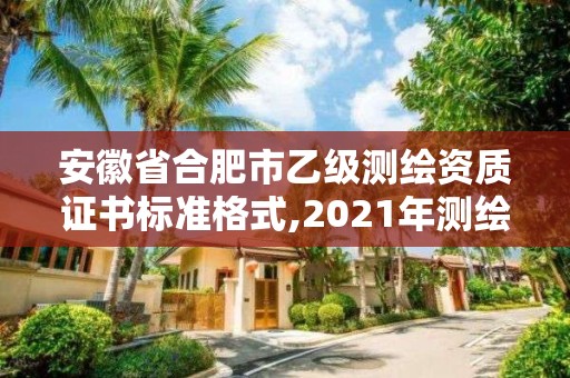 安徽省合肥市乙級測繪資質證書標準格式,2021年測繪乙級資質。